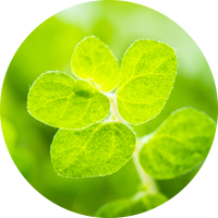 ニキビの発生原因②