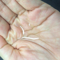 グランディム　オイルプロテクト